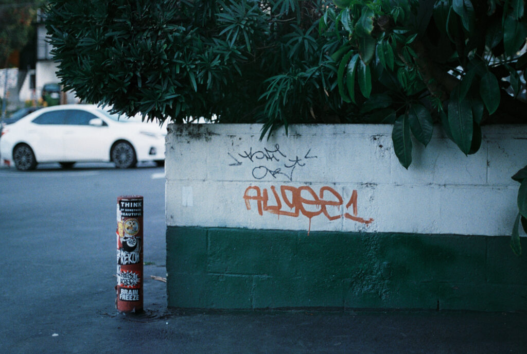 Augee 1 shot on lomography 800 35mm film